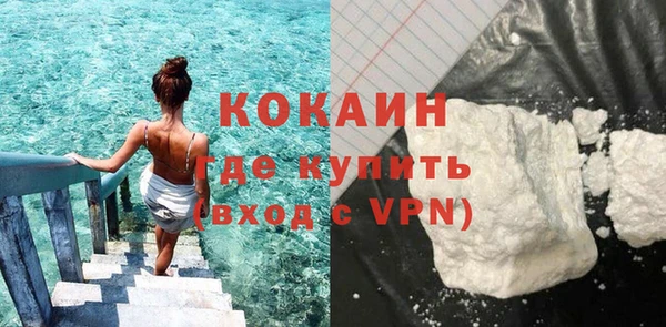 шишки Богородск