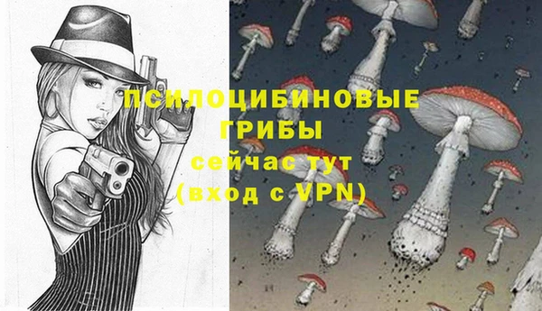 MDMA Беломорск